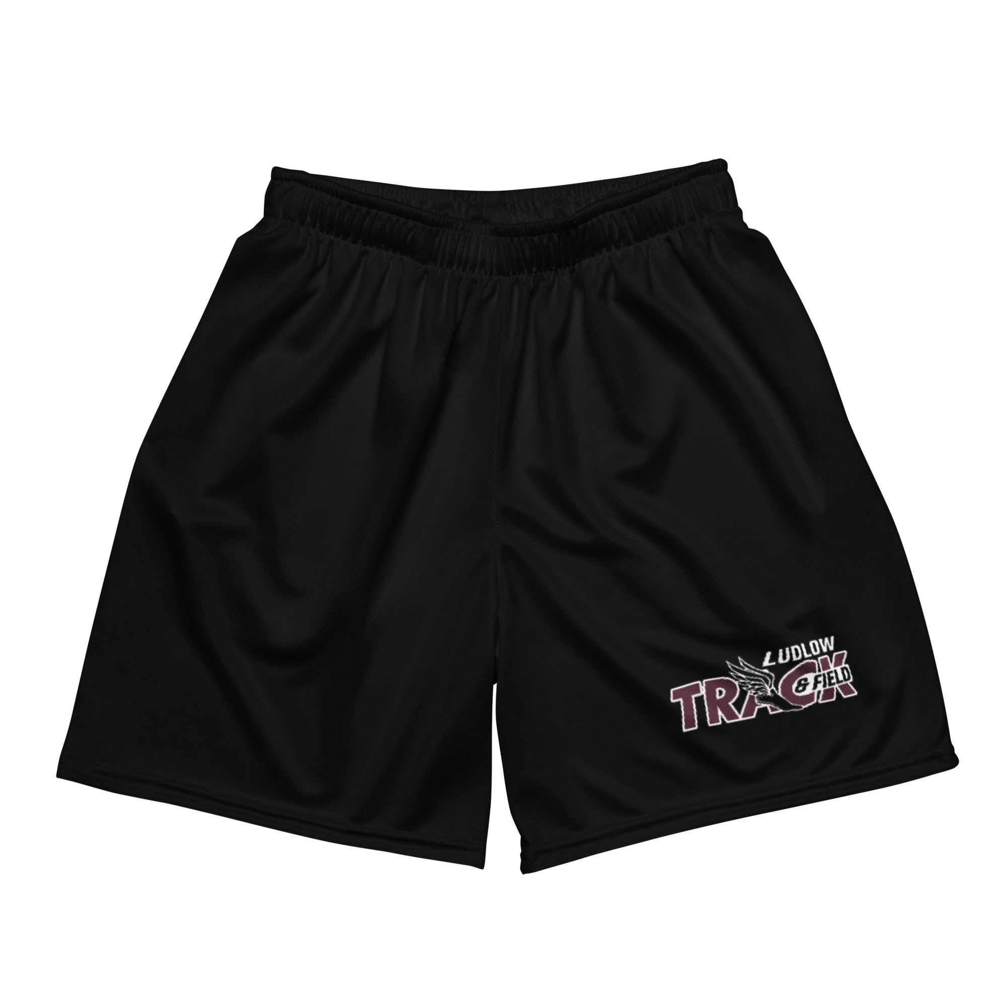 LHS TRACK Unisex Mesh Shorts v2
